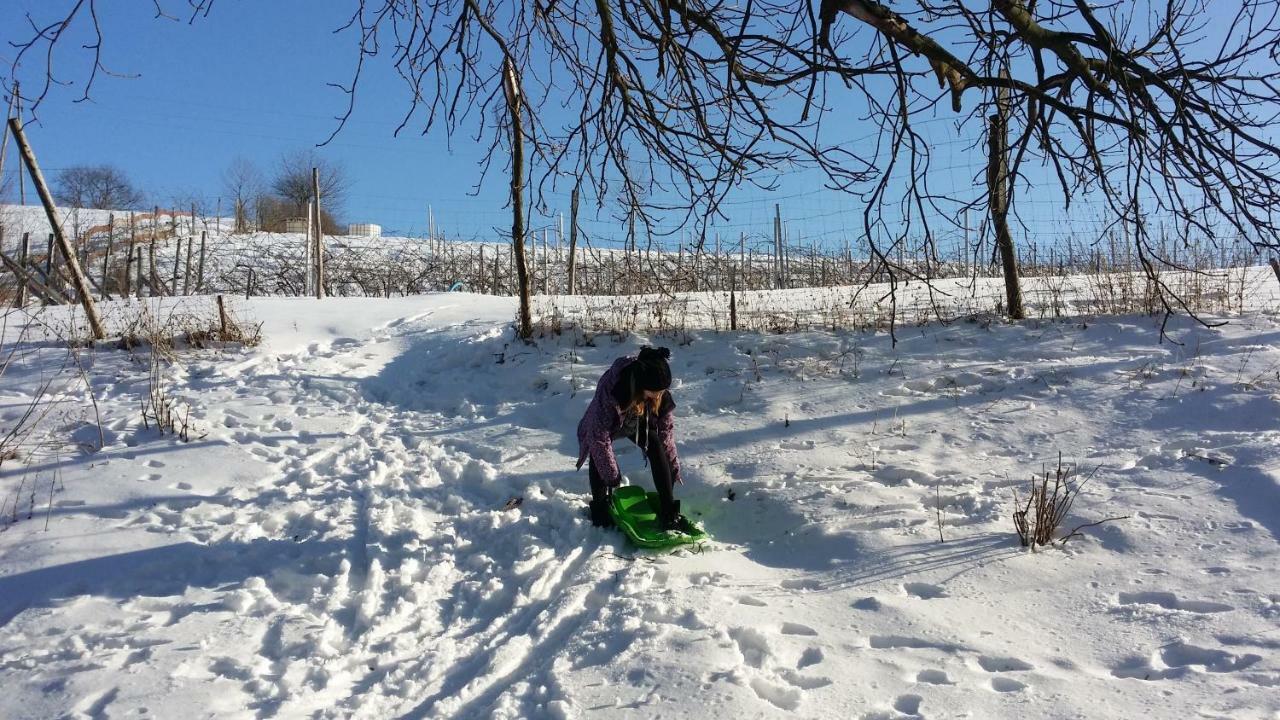 Winnica Agat Świerzawa Buitenkant foto