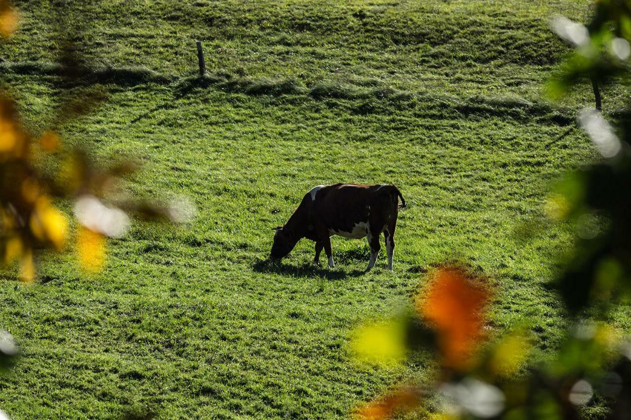 Winnica Agat Świerzawa Buitenkant foto